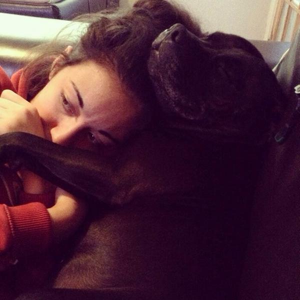 BrookeKdash's tweet photo. #sundaysnuggles #chilling #baba #blackdog http://t.co/yV9NG79ail