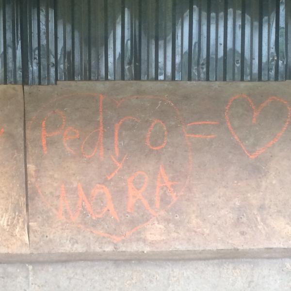 fullthrottletom's tweet photo. Guess I'm gonna have to hide the chalk from the Mexicans. #barngraffiti #breederproblems http://t.co/kSBvJZfwLy