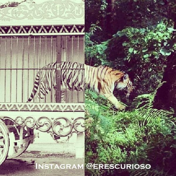 EresCurioso's tweet photo. ¿Tú diversión o su libertad? http://t.co/1aXnSVyvHl