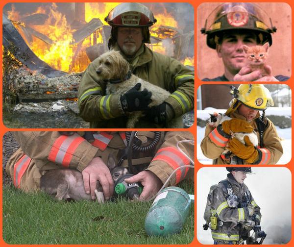 restorapet's tweet photo. Fireman rescuing pets http://t.co/TgcKOBmG30" Firemen are everyones hero.