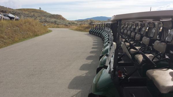Our cart line is ready for 100 golfers! It is time to see how much money we can raise for #KidSport <a href="/VernonVipers/">Vernon Vipers</a>