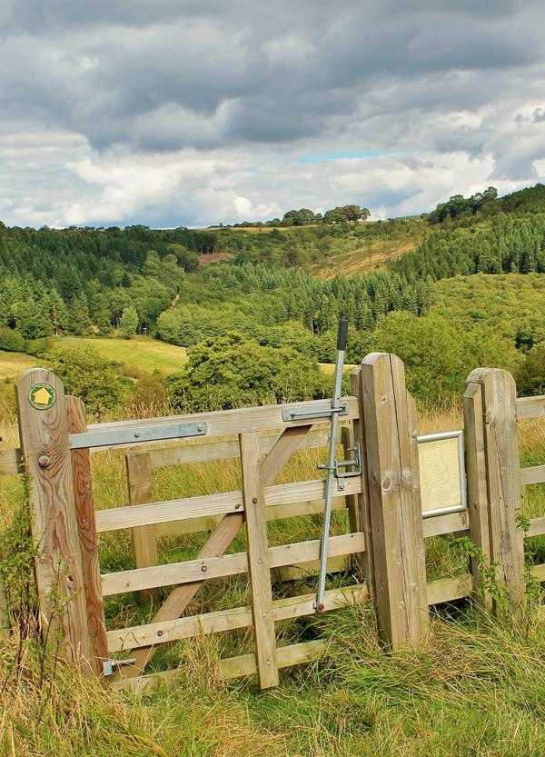 Gateway to Cockerdale Wood #HambletonHills @northyorkmoors #Yorkshire