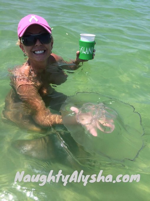 Gonna have a peanut butter and jellyfish sandwich for lunch.  :-) http://t.co/Z8oXxpYCXh<a href="/tag/kilkennycastle"class="tags"><span>#kilkennycastle</span></a>