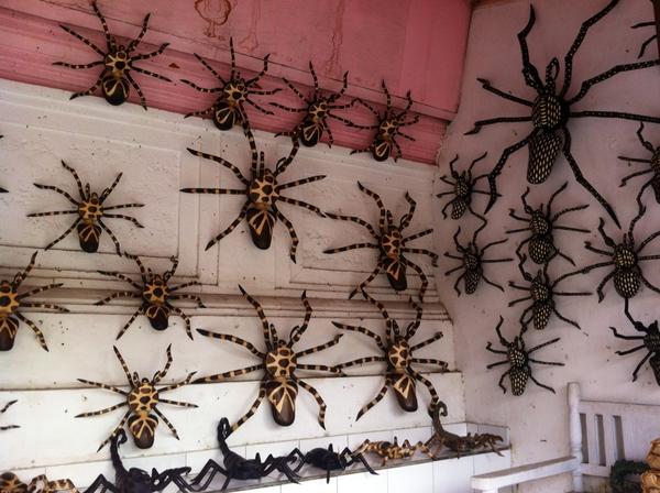 EmmasLittleT's tweet photo. Found this random little shop near #Ubud and they ONLY sell these #spiders . http://t.co/Aok1YD2HmN
