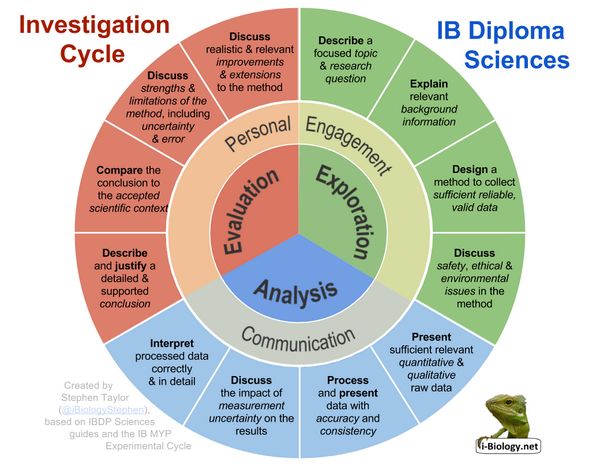 Detail correct. Design Cycle IB. Дизайн цикл MYP. MYP Design Cycle. Глобальные концепты MYP.