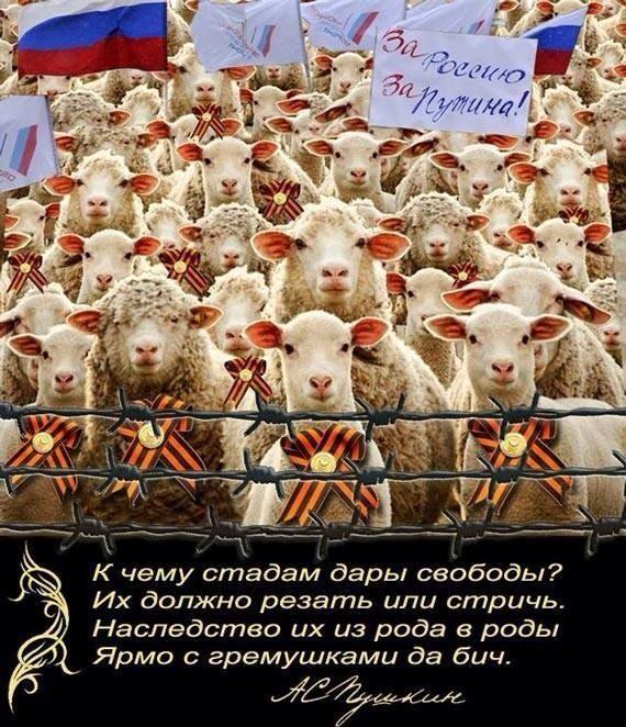 К чему стадам дары свободы?
Их должно резать, или стричь
Наследство их из рода в роды
Ярмо с гремушками, да бич!