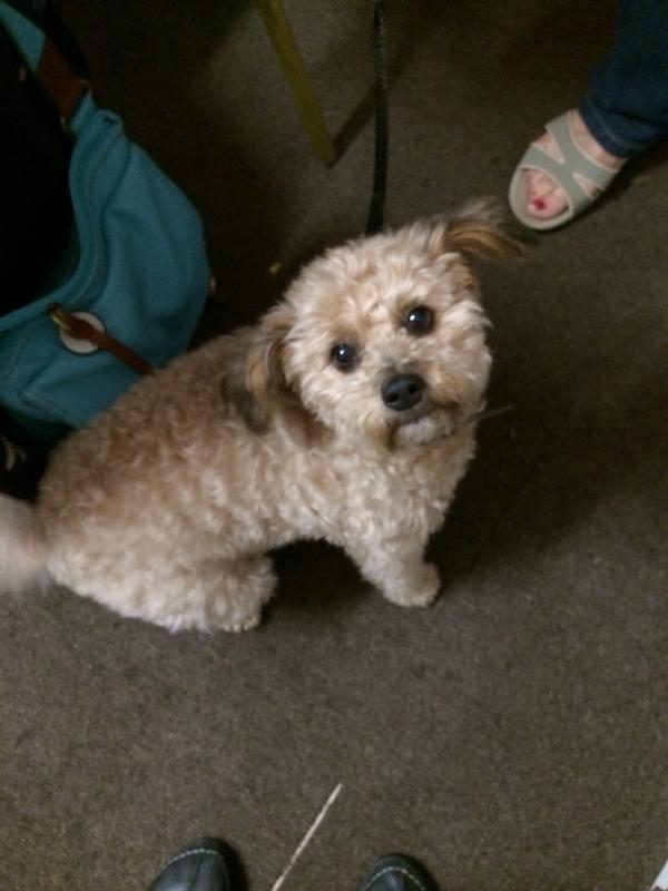 Connie Heap tweet media