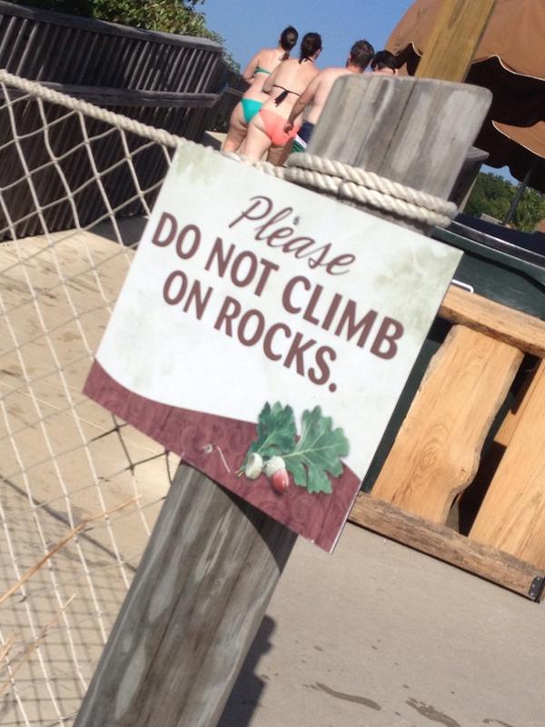 Haters gonna hate. Climbers gonna climb. #climbon