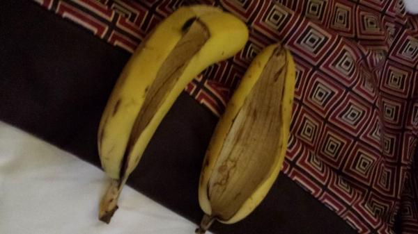PHiZZURP's tweet image. THIS FOOL ADAM SLOSS PEELS HIS BANANAS LIKE THIS