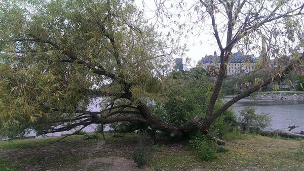 View from the tipi at aboriginal Experiences  in the heart of Ottawa #sunrisebreakfast