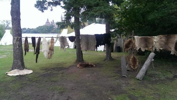 Stephanie Sarazin (@aeacinfo) on Twitter photo 