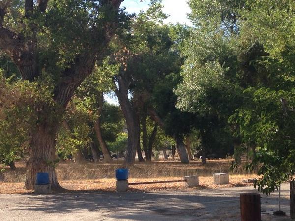 larrynemecek's tweet image. In search of the trail of the White Rabbit #andoldirishbullies #omicrondelta