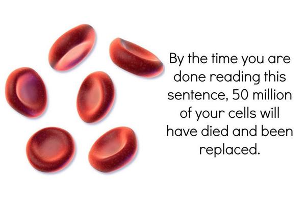 ScienceHumorPH tweet picture