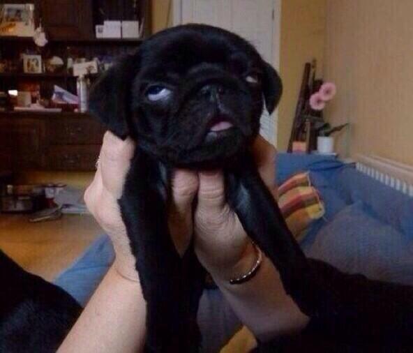 jmarianps's tweet image. Si Mtv, ya entendí que se va a estrenar Acapulco Shore, ya entendí. #MTVVMAs2014 #VMAs2014