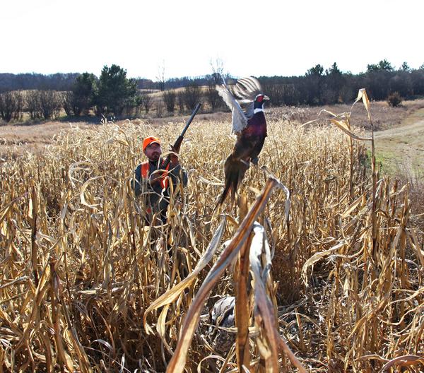 BobStPierre's tweet photo. Who else is ready for fall? #ROOSTER http://t.co/Lvc6gD2sTV