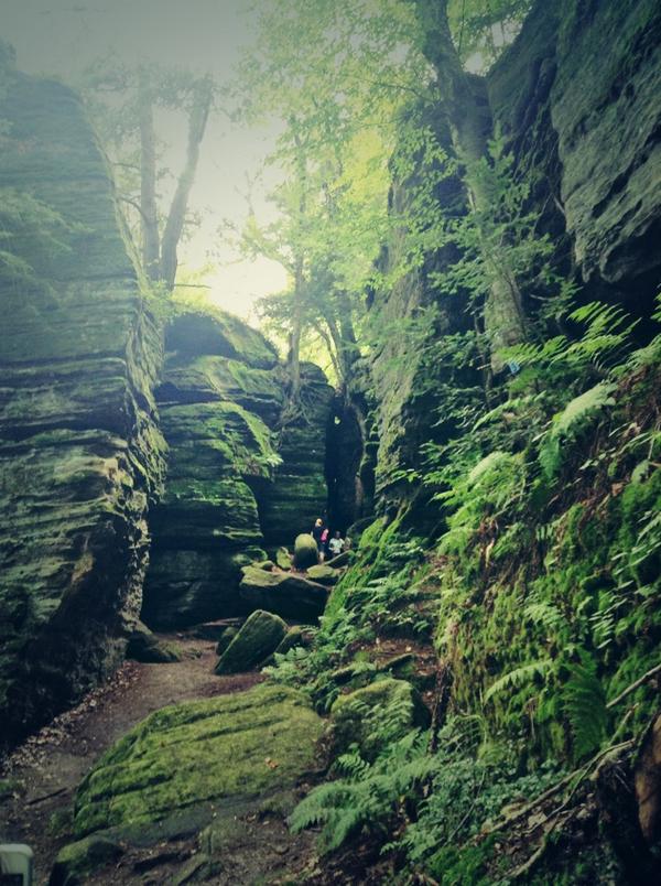 VikkieMichelle's tweet image. Pine needles in my bra #hikingProblems