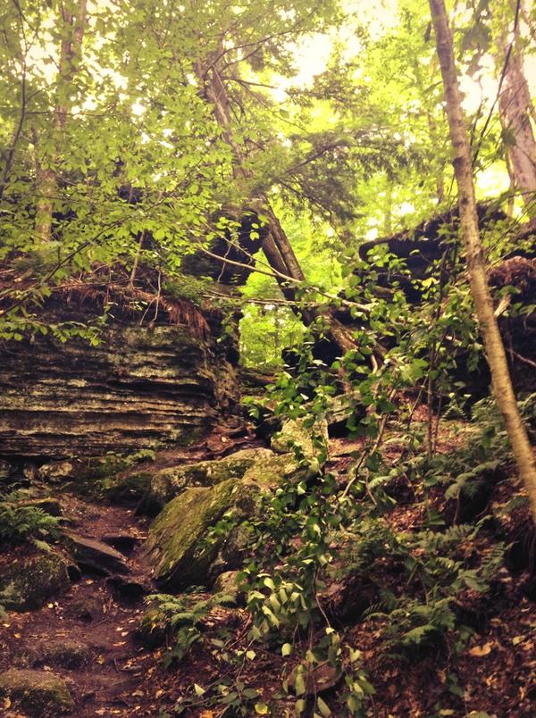 VikkieMichelle's tweet image. Pine needles in my bra #hikingProblems