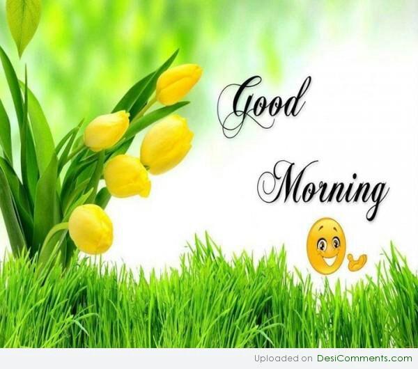 Ranjana Dalvi On Twitter Good Morning Happy Monday Lord