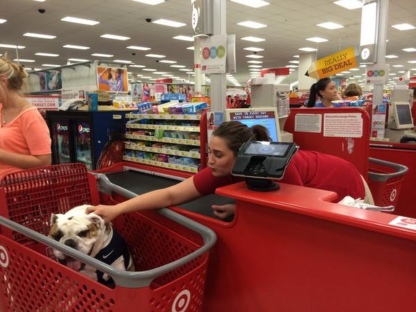 Even Blu loves Target. #glendalegoesblue