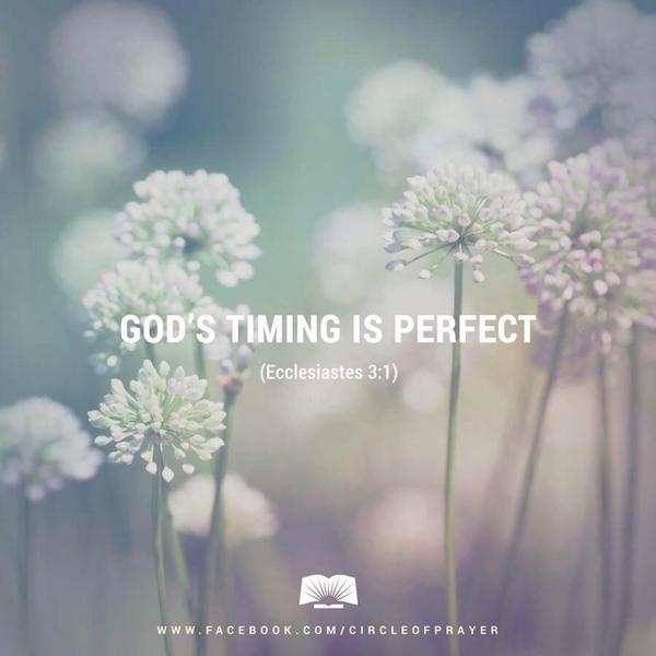 ririnel's tweet photo. Wait for it! http://t.co/sZUn0lMY4K