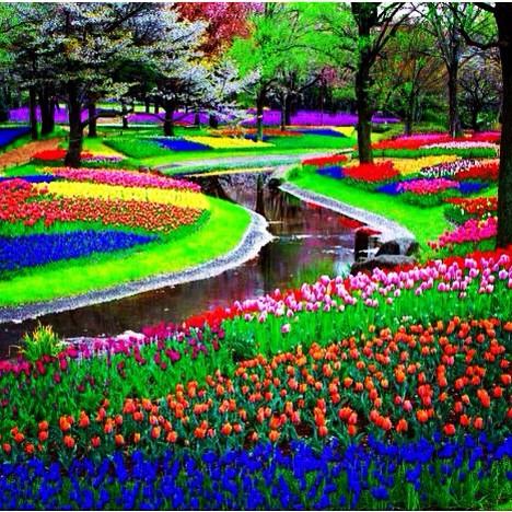 Zuhoor 2015 on X: "Good morning from Zuhoor 2015 #keukenhof #flower #Amsterdam #abudhabi #international #flower #garden #exhibition http://t.co/cvrI1e3aJK" / X