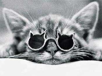 CoinChannel's tweet image. 先週の暗号化通貨関連ニュースまとめ読み[2014年8月18日(月)－8月24日(日)]　coinchannel.blog.jp/archives/11817…　#bitcoin #btc #ビットコイン #ニュース #仮想通貨