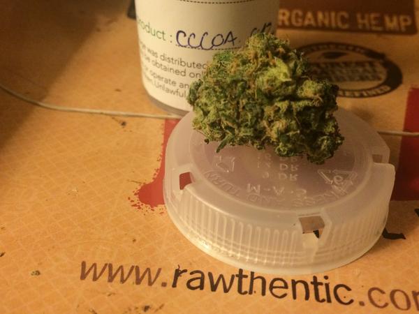 G93 V Twitter 昨日買って来た大麻は Cocoa Cheesecake ココアチーズケーキ 甘い ココアの香りのマリファナで女子の興味を引くにはピッタリ 燃やしても甘い匂いで効きも期待を裏切らない Http T Co Taj6xgmehx G93 V Twitter 昨日買って来た大麻は Cocoa Cheesecake ココアチーズケーキ 甘い ココアの香りのマリファナで女子の興味を引くにはピッタリ 燃やしても甘い匂いで効きも期待を裏切らない Http T Co Taj6xgmehx