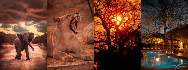 BornToWinMovie's tweet image. ONLY 2 days left to enter to #WIN  2 nights for 2 at  the luxurious @Moditlolodge: bit.ly/YzqE6k #BornToWin