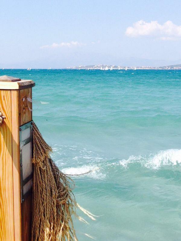 Dilan Aksoy-Yurdagul tweet media