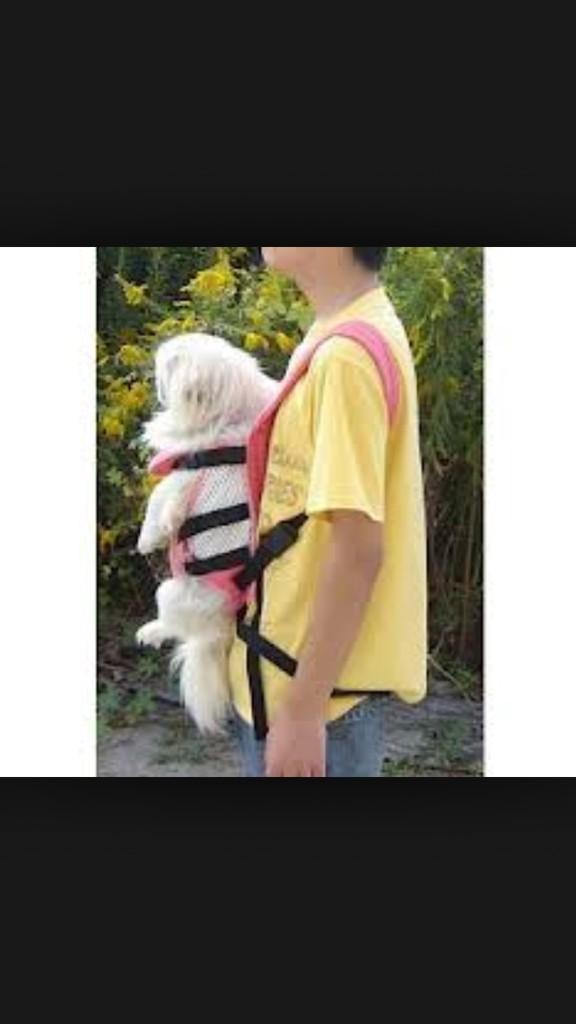 bradoco5's tweet photo. @tj_273 @tylersprunt @axthomson13 @Bot_Bot27 old dog hair Sprunt. Just seen him walking down the road.. http://t.co/snLLAuju0H
