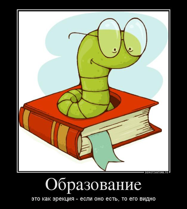 Высшее образование смешные картинки