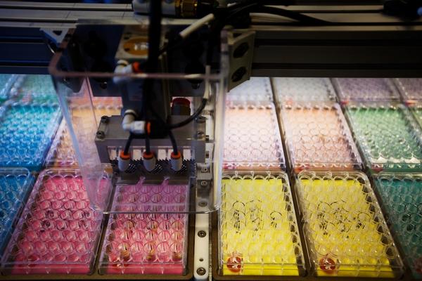 Linkiesta's tweet photo. Dagli Ogm ai Big Data: la mutazione di Monsanto http://t.co/7vHwB2BlYa http://t.co/MI95ADOJko