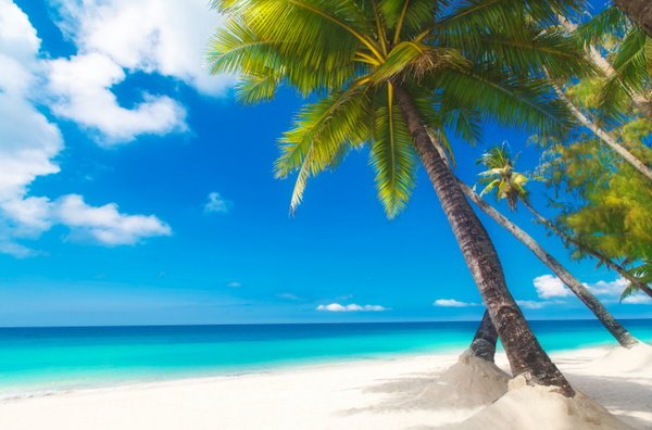 CruiseNorwegian's tweet photo. Experience it all with our All-Inclusive. http://t.co/IK1s4j0tOA http://t.co/oCsiRURRr8