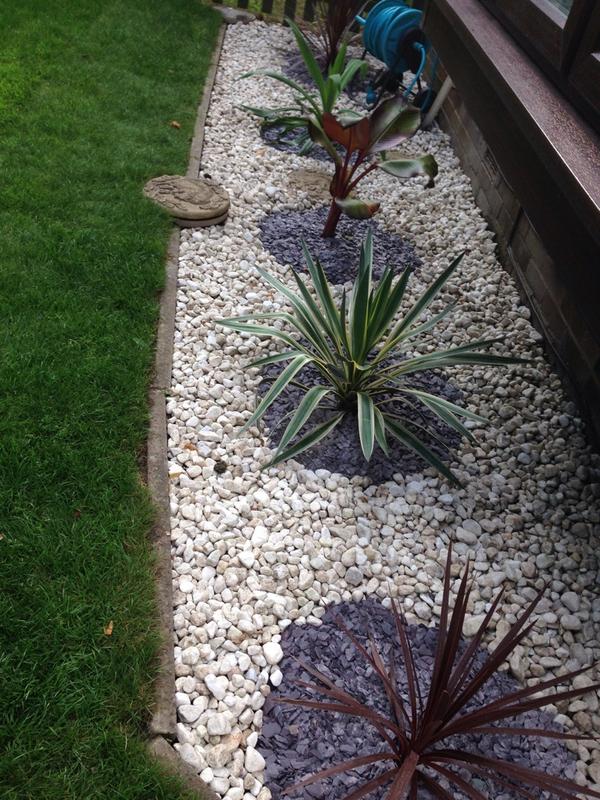 GCAL6343's tweet image. Flowerbed