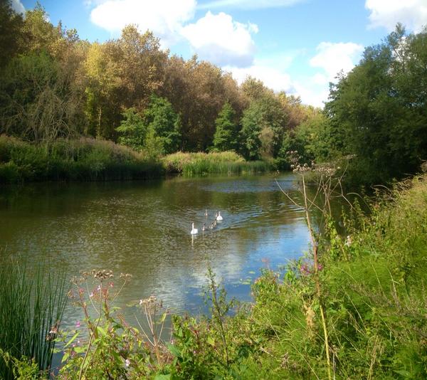 Out_of_the_Loop's tweet photo. Re-walked Medway Orchards walk on Saturday. Many apples...! Couple of minor updates to route description coming. http://t.co/nVe2qBK4i6