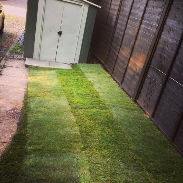 GCAL6343's tweet image. Turfing