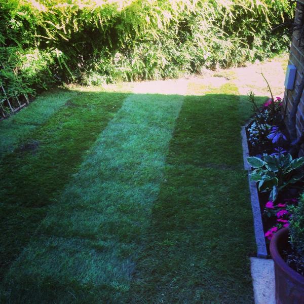 GCAL6343's tweet image. Turfing