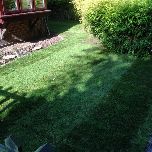 GCAL6343's tweet image. Turfing