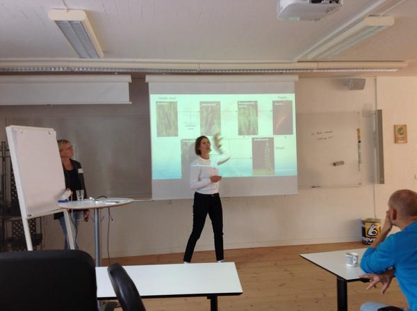 Jenny Hagenblad 3 minutes on wheat evolution. Durum, Emmer etc. #scienceslam  #geneco Summermeeting