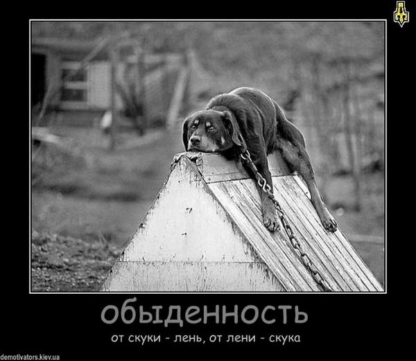 InnaqYV6's tweet photo. http://t.co/SX8peFAvr4