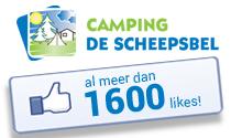 Dit jaar aanzienlijk meer bezoekers dan vorig jaar voor onze klant #camping De #Scheepsbel! tsfo.nl/meer-dan-1600-…