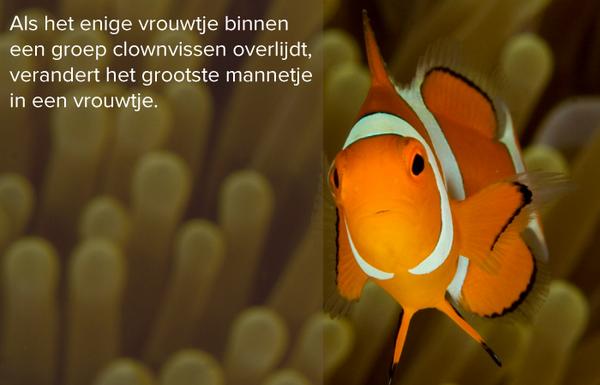FrootNL's tweet image. Deze. En nog 16 leuke #feitjes. Alsjeblieft: ow.ly/AGnsV