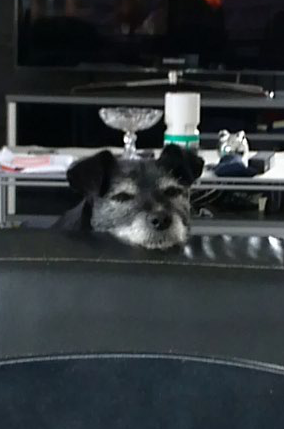 VectorNinetv's tweet image. mij in het oog houden terwijl ik eet en dan inslaap vallen (: