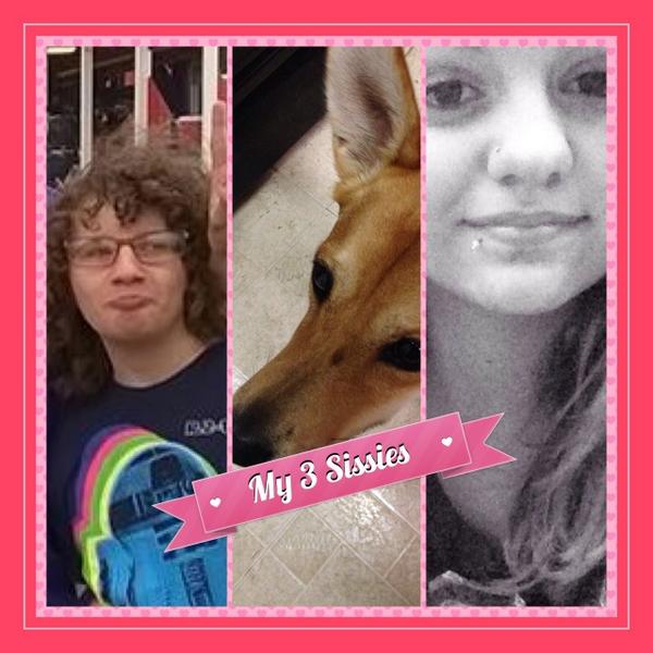 HowieBraunstein's tweet image. My 3 sissies #fuzelapp