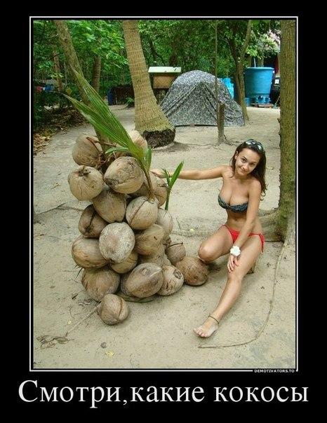 Vlada1fc's tweet photo. http://t.co/6FwTrCLofB