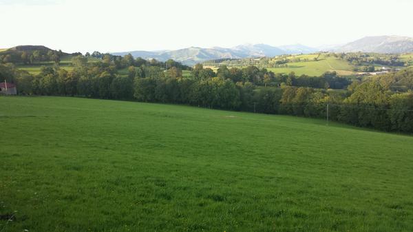 Oui, je suis dans ma période "nature après le taf" :)