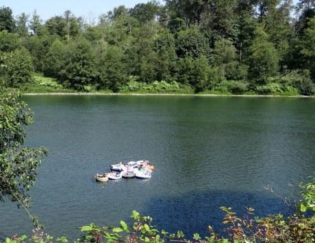 TexasSentinal's tweet image. Floatin ... j.mp/1pY2Y62 #AlbertEinstein #PhotosBlog #RamblinMan #SkykomishRiver