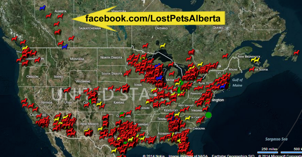 StopMillsNow's tweet photo. #catsLOST #ALBERTA http://t.co/xGOQrSIBu6 http://t.co/5lxnpzKlXK