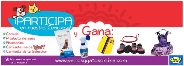 PerrosyGatosEC's tweet photo. ÚLTIMO DÍA PARA GANAR, pide a tus amigos por sus votos y nada un combo para tu perrito https://t.co/swxPZI2ssU http://t.co/phlqbpnRXS