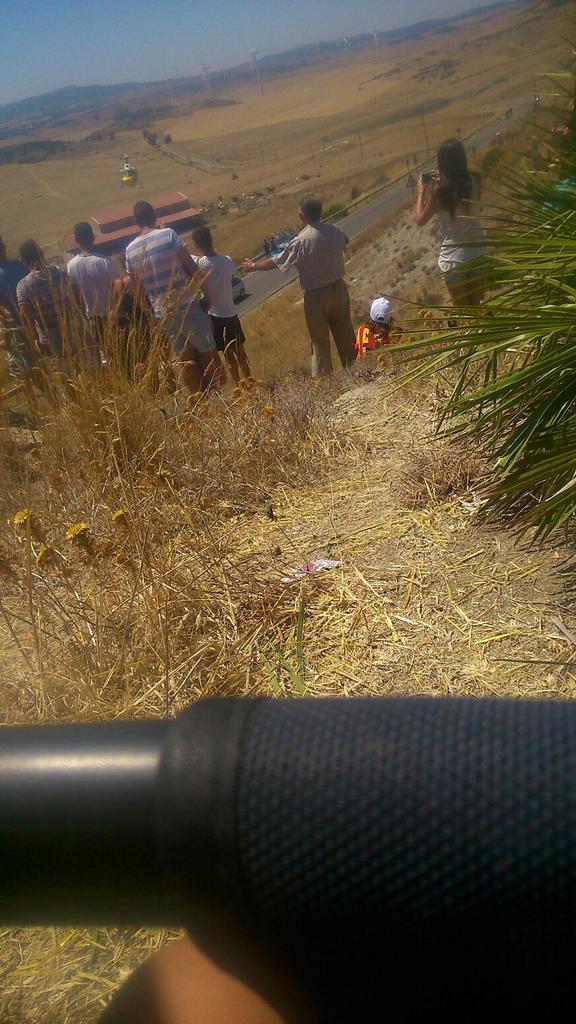 viento del sur tweet media